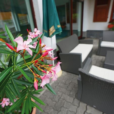 Landhotel Gasthof Zwota Klingenthal Zewnętrze zdjęcie