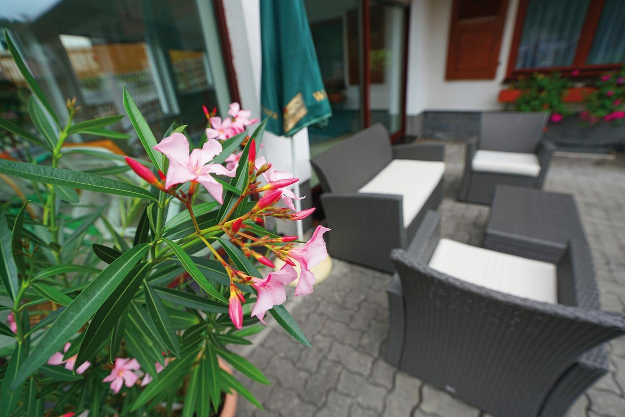 Landhotel Gasthof Zwota Klingenthal Zewnętrze zdjęcie