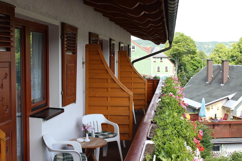 Landhotel Gasthof Zwota Klingenthal Zewnętrze zdjęcie