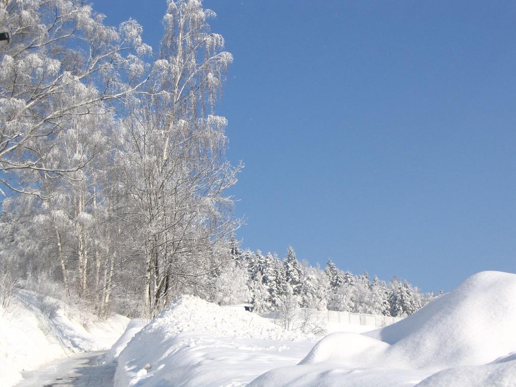 Landhotel Gasthof Zwota Klingenthal Zewnętrze zdjęcie